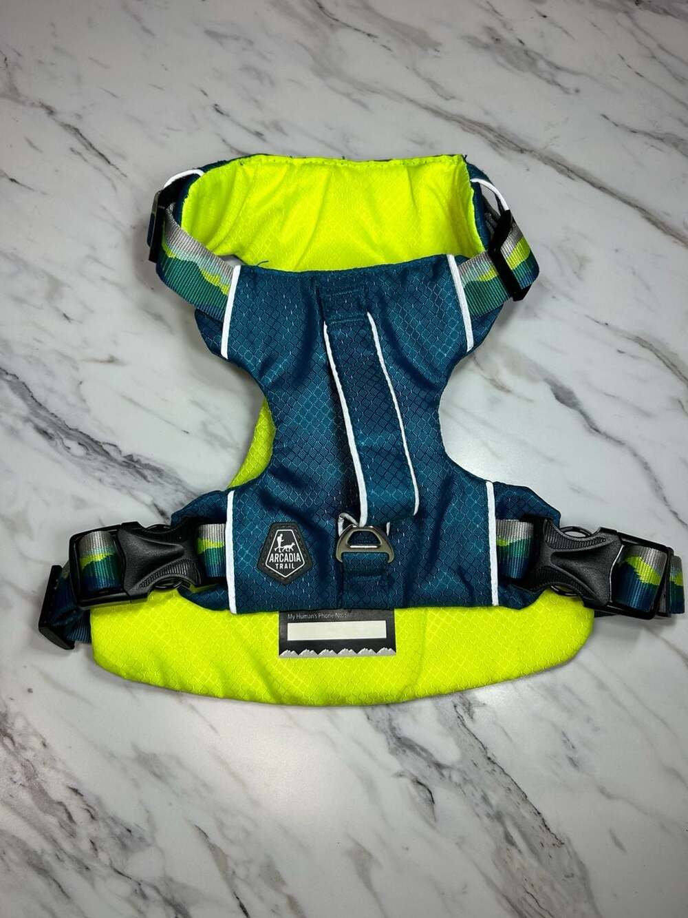 Arcadia Trail Ultimate Security Dog Harness with Lift Handle, Teal and Lime